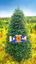 Load image into Gallery viewer, NS Tree Farm - Christmas Card